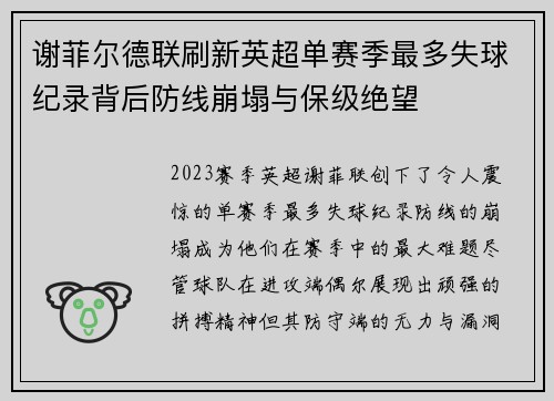 谢菲尔德联刷新英超单赛季最多失球纪录背后防线崩塌与保级绝望